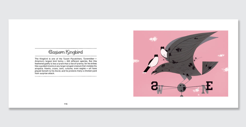 Charles Harper's Birds & Words: Spread #5