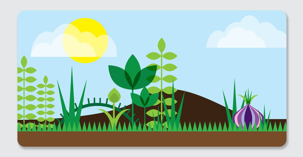 Counting in the Garden: Spread #3