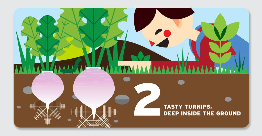 Counting in the Garden: Spread #4