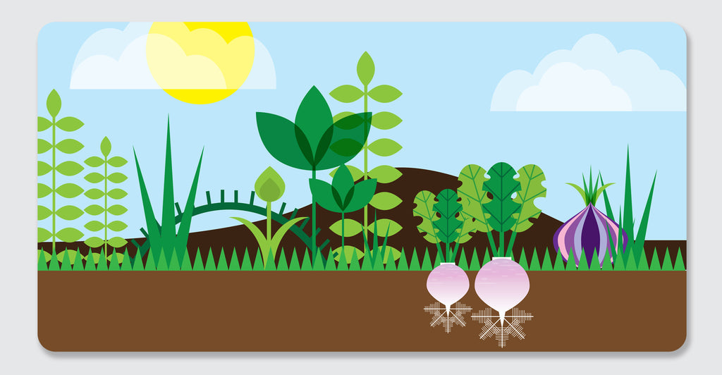Counting in the Garden: Spread #5