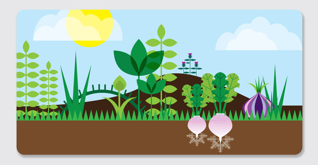 Counting in the Garden: Spread #7