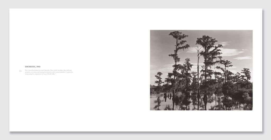 Edward Weston: One Hundred Twenty-Five Photographs: Spread #11