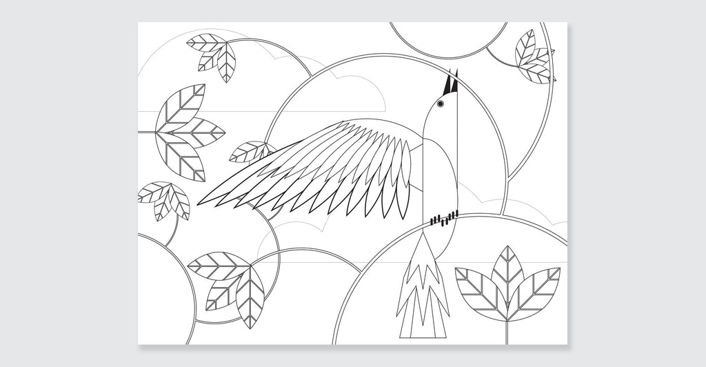 Natural Wonders: A Patrick Hruby Coloring Book: Spread #8
